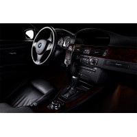 BMW N55 AccessPort V3