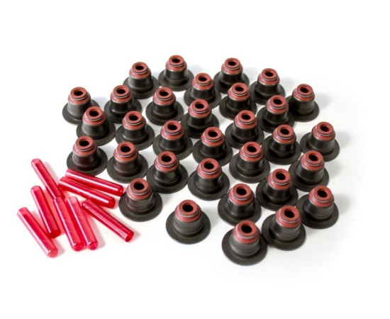 Ford Focus ST Ecoboost ValveStem Seals