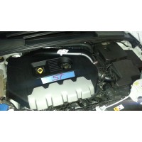 OTC Ford Focus ST250 3" TIP Intake